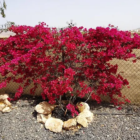 Dunasol Fuerteventura דירה קורלחו